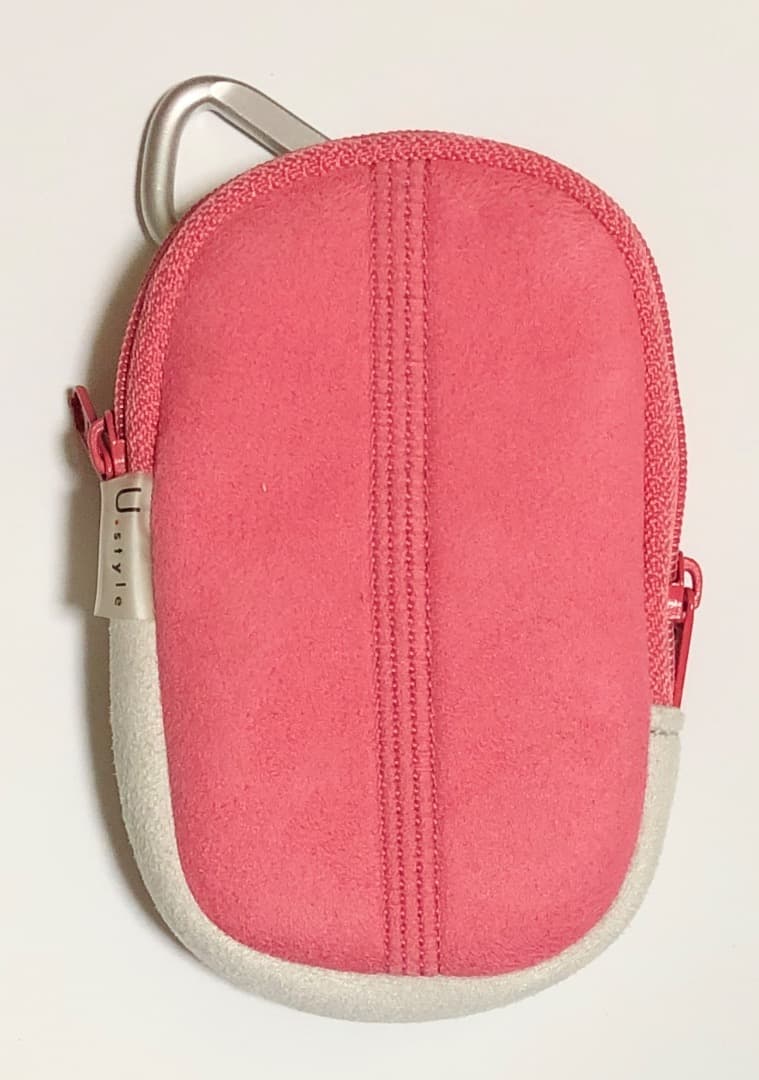 CASIO EXILIM EX-S10 動作確認済み　付属品有＋カラビナポーチ