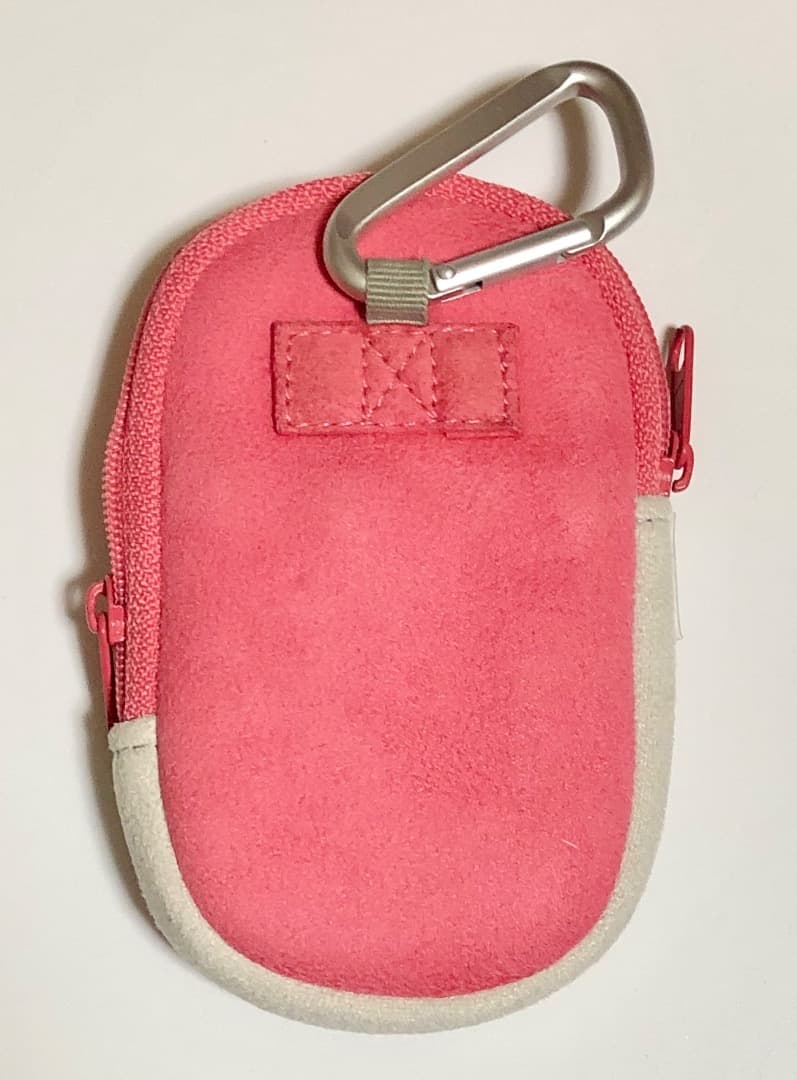 CASIO EXILIM EX-S10 動作確認済み　付属品有＋カラビナポーチ