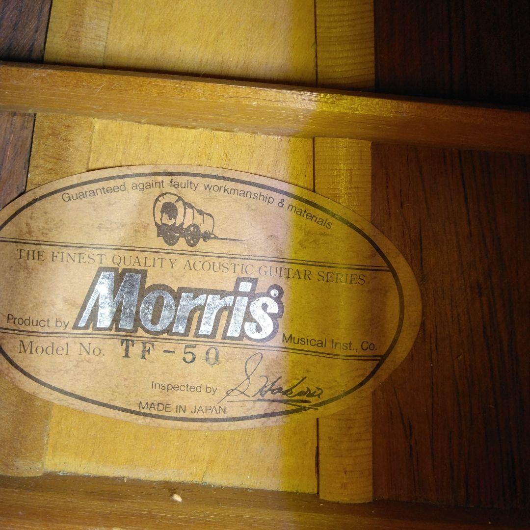 Morris モーリス TF-50 アコースティックギター ジャパンビンテージ