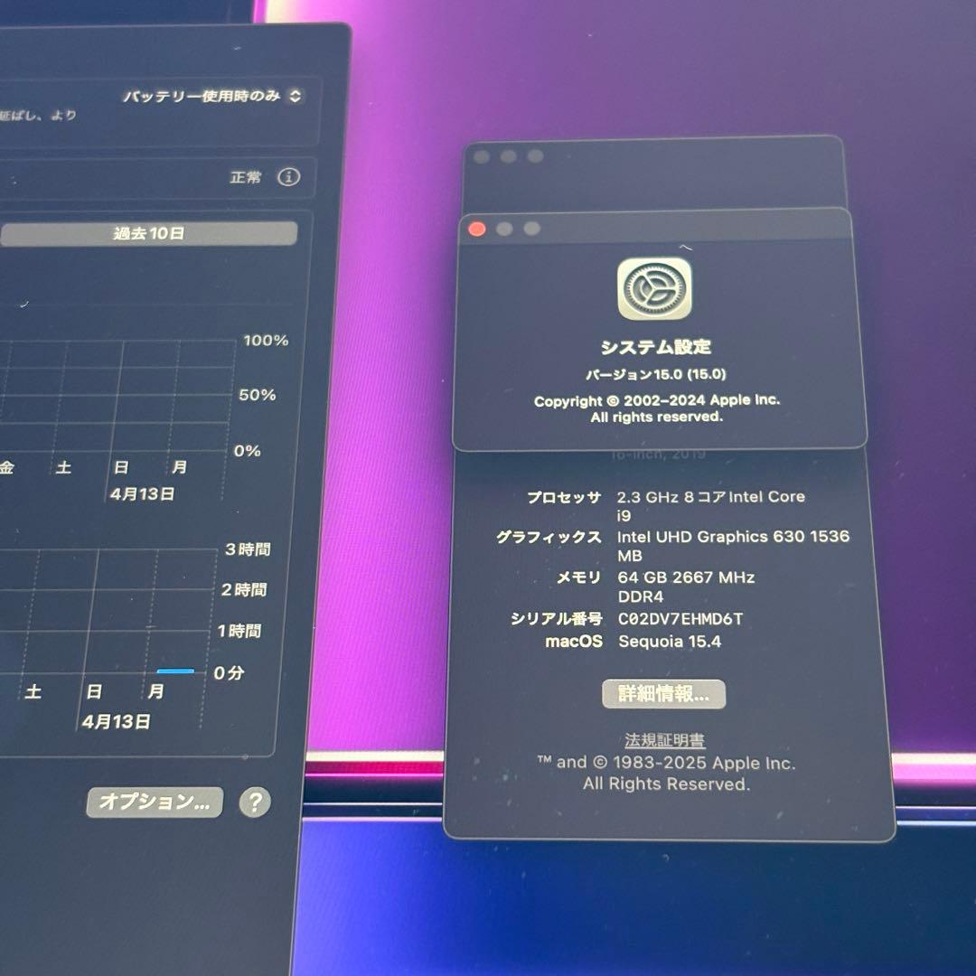 MacBook本体 Apple MacBook Pro 64GB 1TB