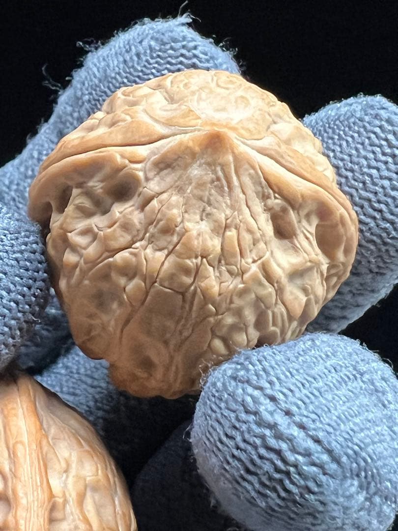 文玩堂：鳳纹柳葉チキンハート文玩クルミ（高級コレクション級）