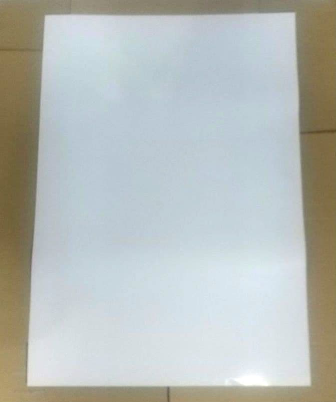 B2ポスター バイオハザード ダークサイド・クロニクルズ 非売品 wii 販促