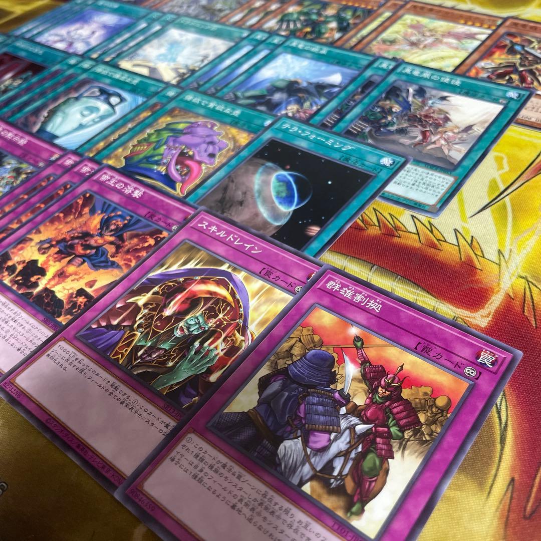 大会構築 命削り真竜デッキ 真竜剣皇マスターP ドラゴニックD 真竜の継承