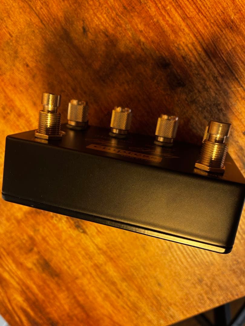 Empress Tape Delay エフェクター エンプレス