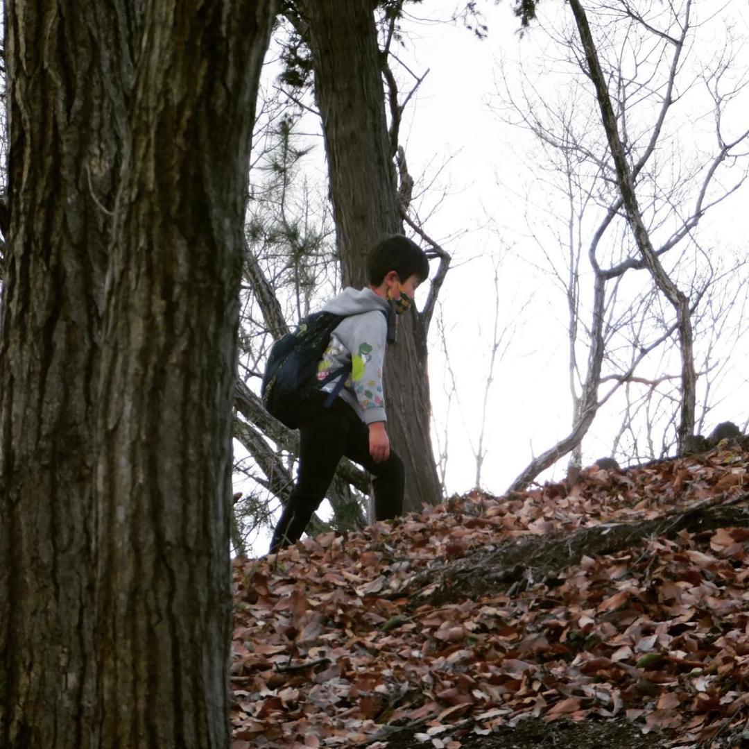 トランシーバー 無線機 免許不要 特定小電力 充電式 携帯型 T518 災DXT