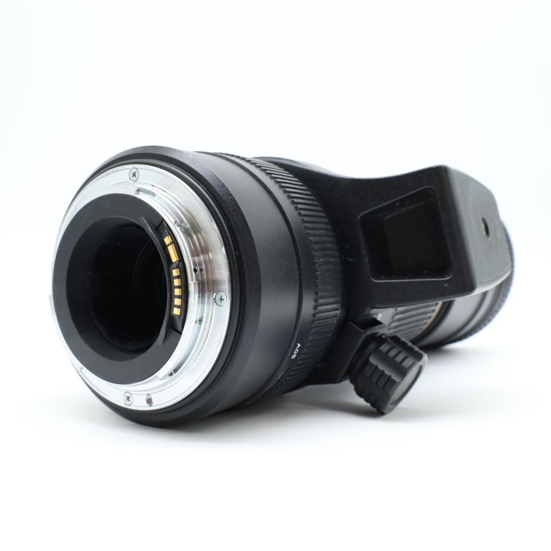 TAMRON SP AF200-500mm F5-6.3 Di キヤノン A08