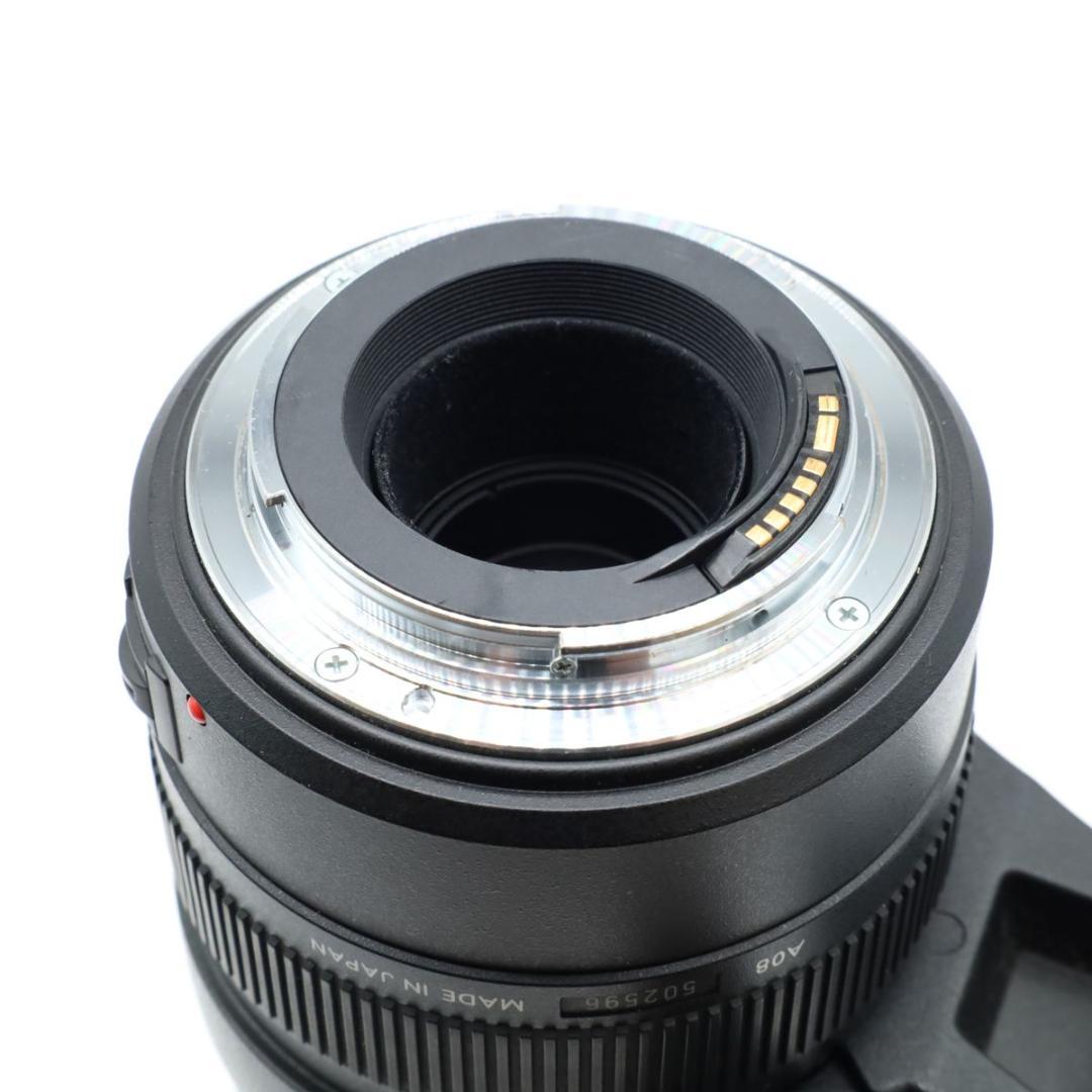TAMRON SP AF200-500mm F5-6.3 Di キヤノン A08