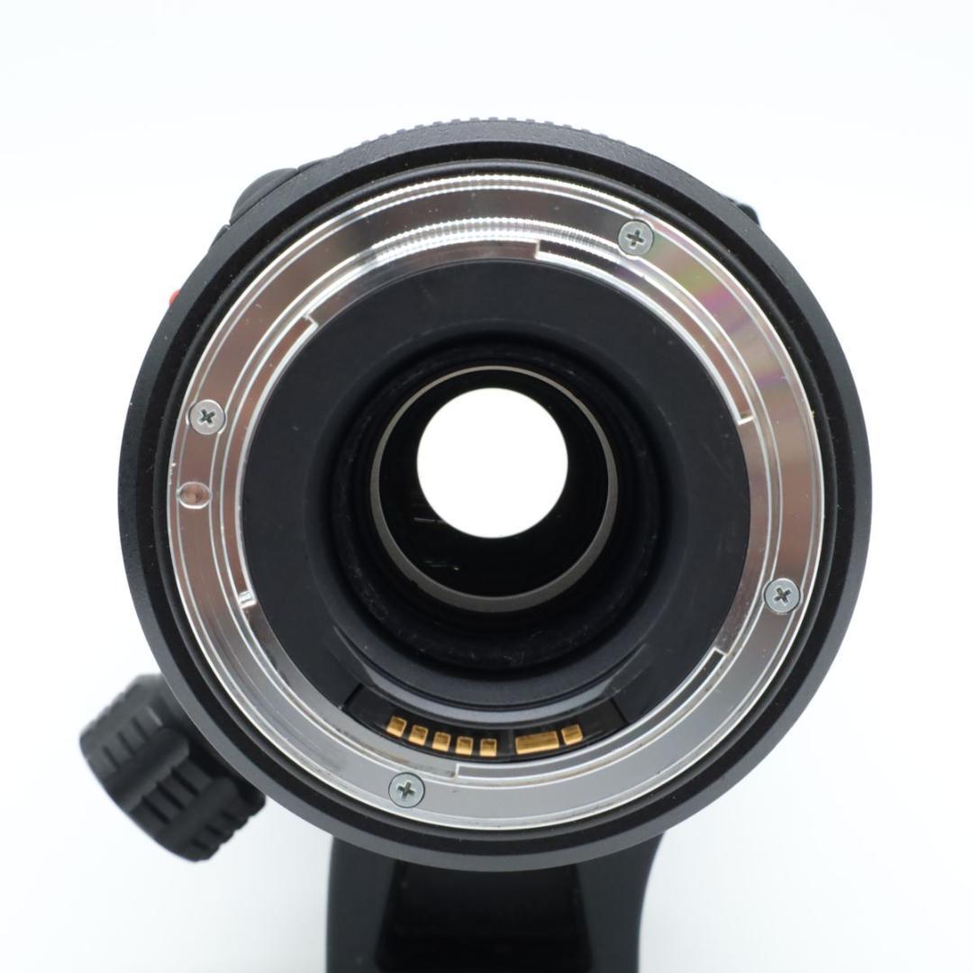 TAMRON SP AF200-500mm F5-6.3 Di キヤノン A08