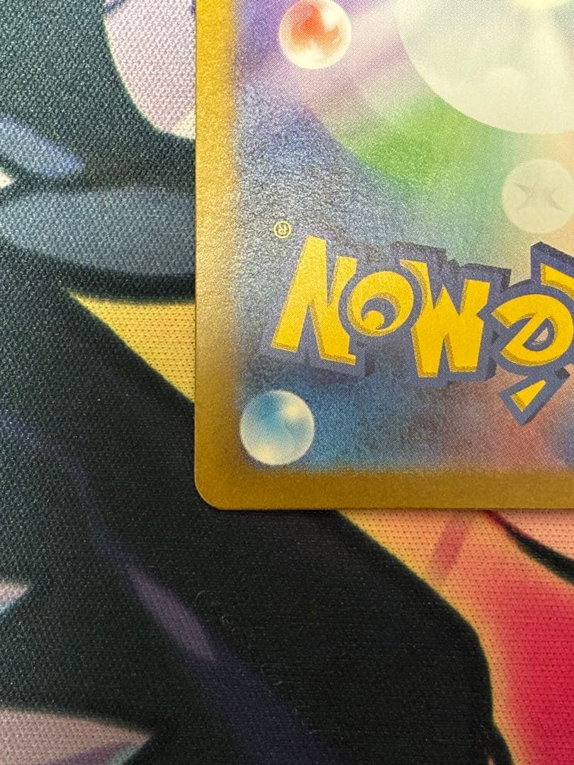 ゼイユ　SAR 美品