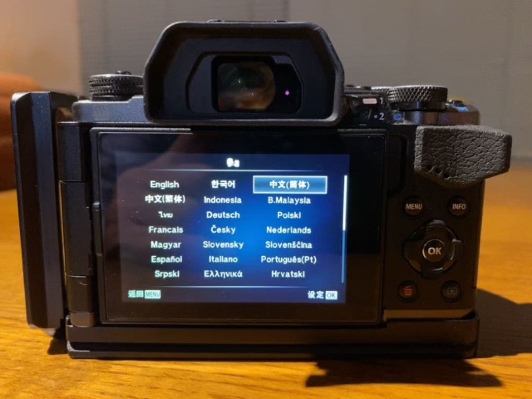 オリンパス OM-D E-M5 Mark II Limited Edition