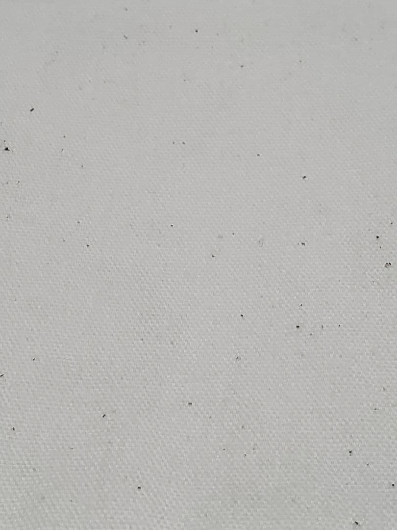 〖セール中〗入園グッズ　５点セット　リバーシブル　恐竜　ダイナソー　ヌビキルト