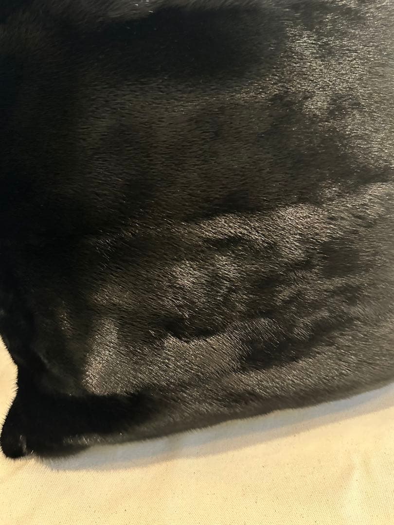 VALENTINO ミンクファークッション　ベビーレース