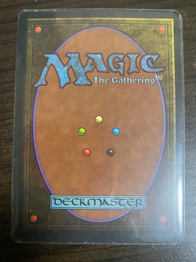 MTG Savannah デュアルランド サインド
