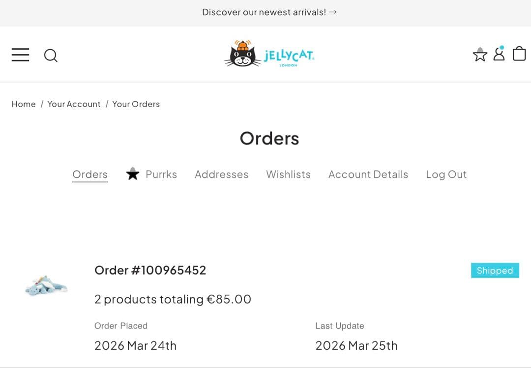 ぬいぐるみ  Sky Dragon Large size