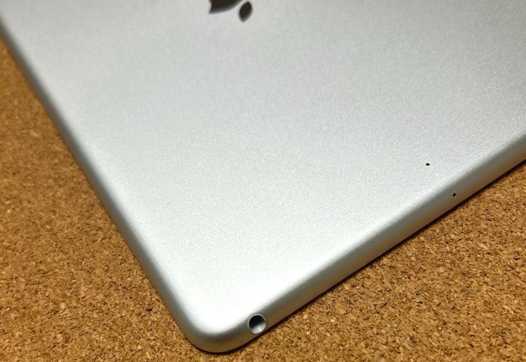 Apple iPad mini5 第5世代 64GB (20)