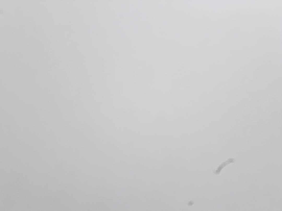 【✨美品✨】Panasonic LUMIX DMC-S2 ✨付属品多数✨デジカメ