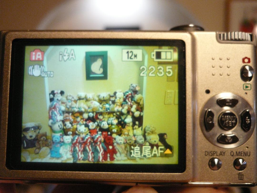 LUMIX★DMC-FX40⭐️美品⚠️必読有り⭕️箱入り完品⭕️安心の実働品