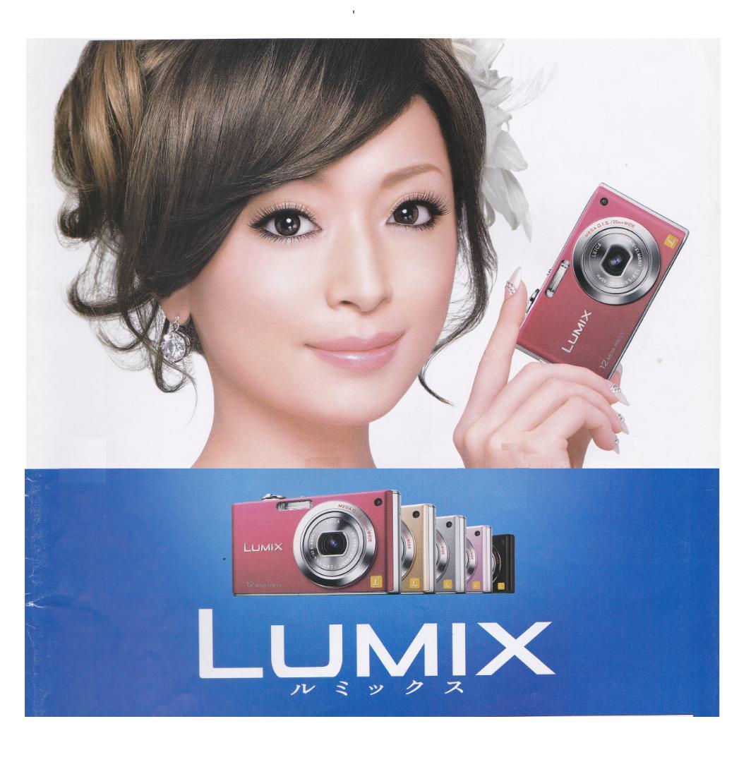 LUMIX★DMC-FX40⭐️美品⚠️必読有り⭕️箱入り完品⭕️安心の実働品