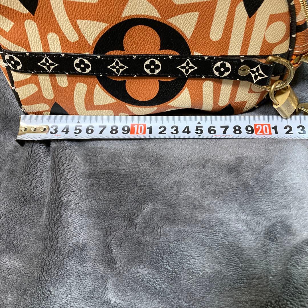 早い者勝ち！ Louis Vuitton ノベルティ　モノグラム ハンドバッグ