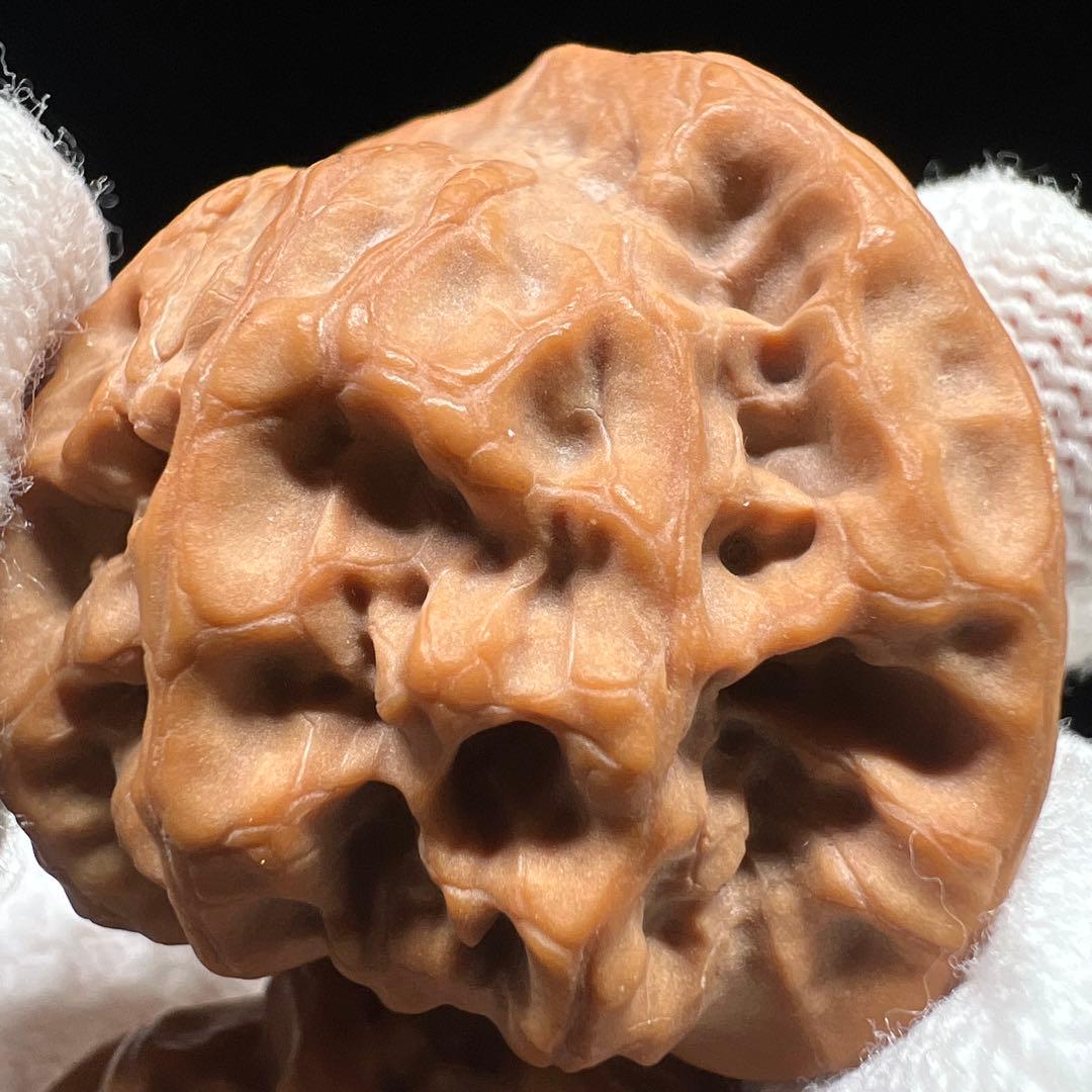 文玩堂：「（精品）佛肚獅子頭文玩クルミ　粉皮・粉骨（無修整）」