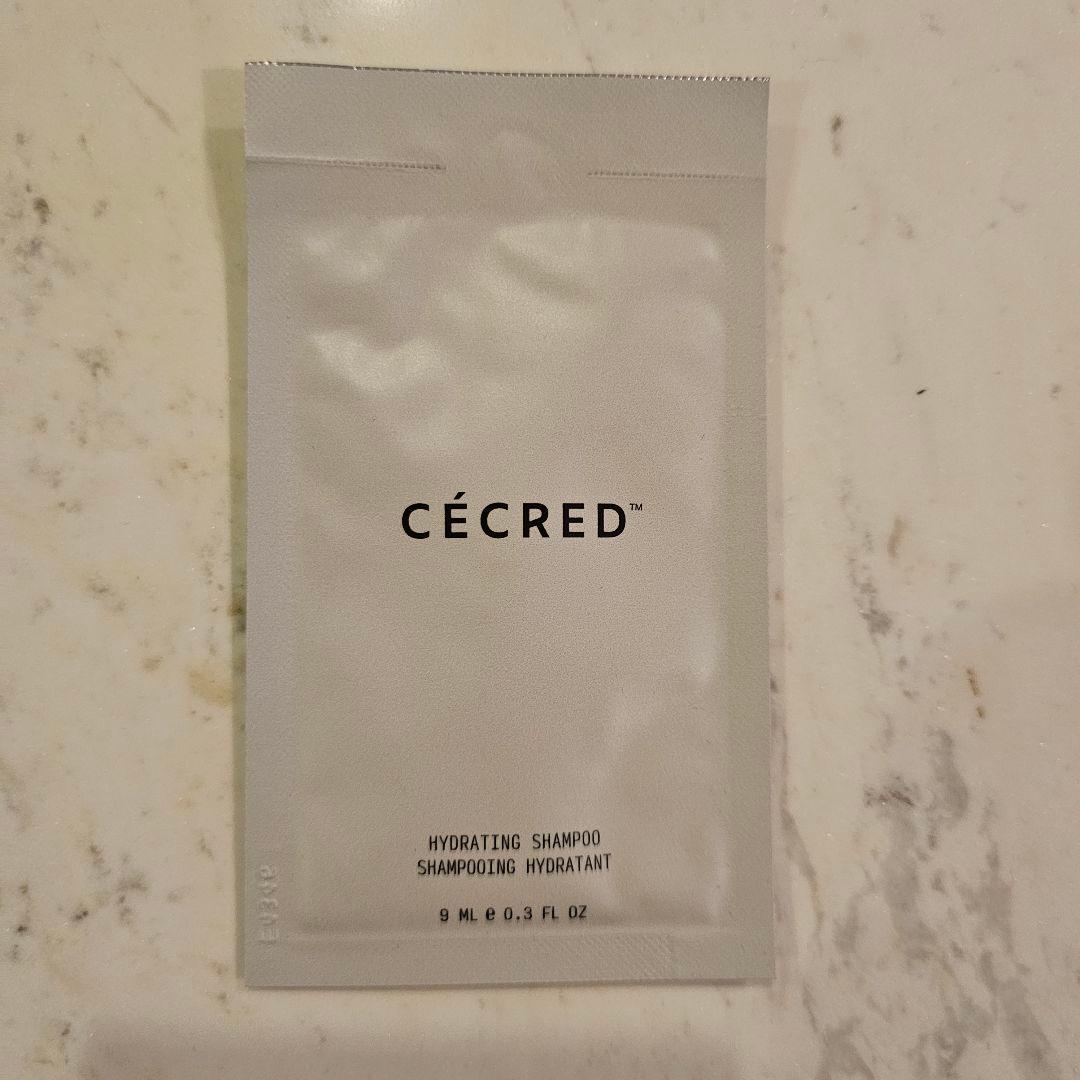 ビヨンセ COWBOY CARTER ツアーグッズ＋未使用Tシャツ3枚付き