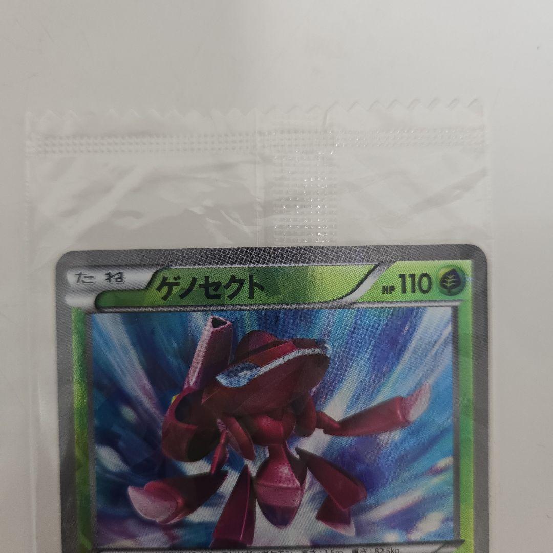 【未開封　美品】ゲノセクト PROMO BW-Pプロモカード 232/BW-P