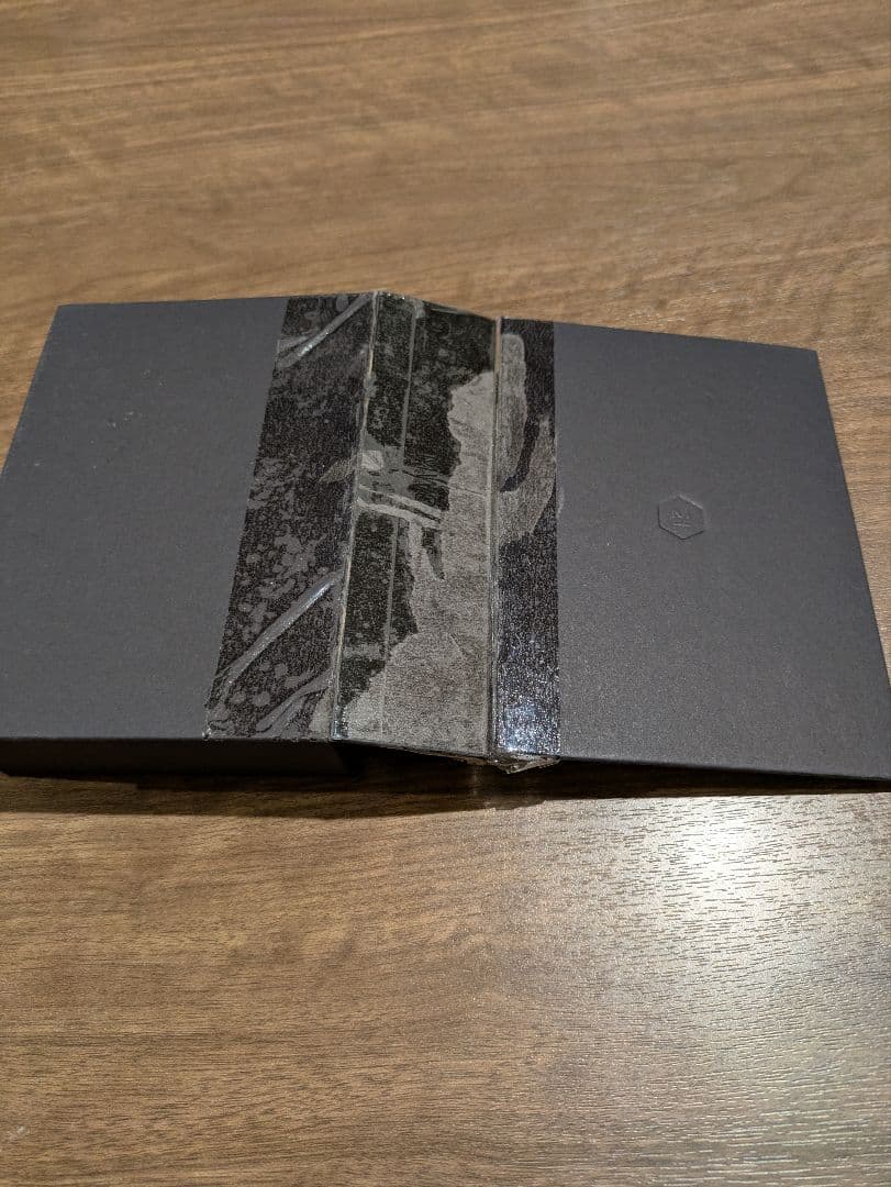 【美品】MASTER & DYNAMIC MW07 PLUS　完全ワイヤレス