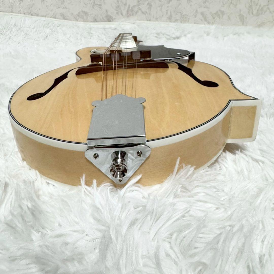 『希少美品』Mylowe フラットマンドリン ハードケース付き