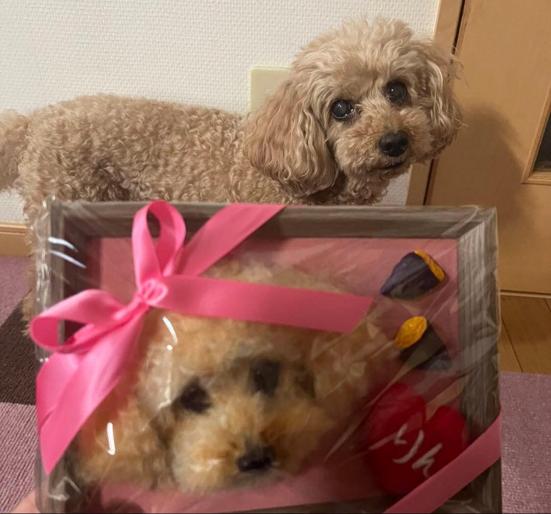わんこ限定　うちの子プレート　わたわたペット　羊毛フェルト作品