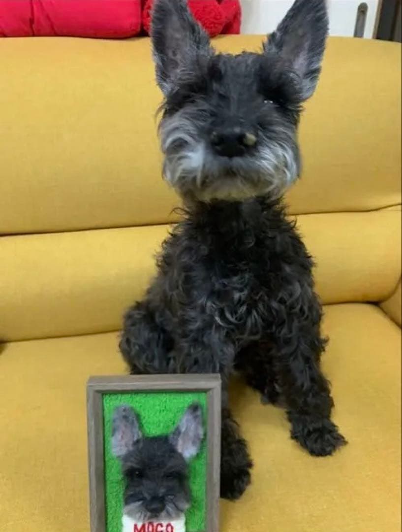 わんこ限定　うちの子プレート　わたわたペット　羊毛フェルト作品