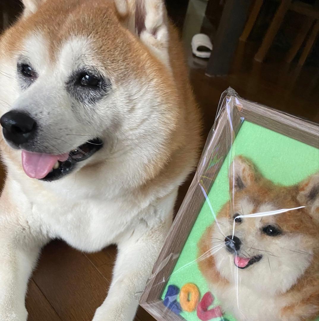 わんこ限定　うちの子プレート　わたわたペット　羊毛フェルト作品