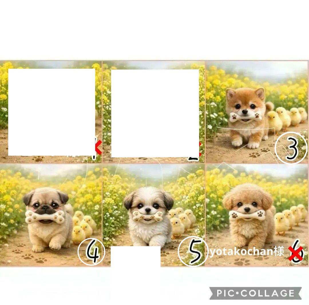 【3月】ここまる