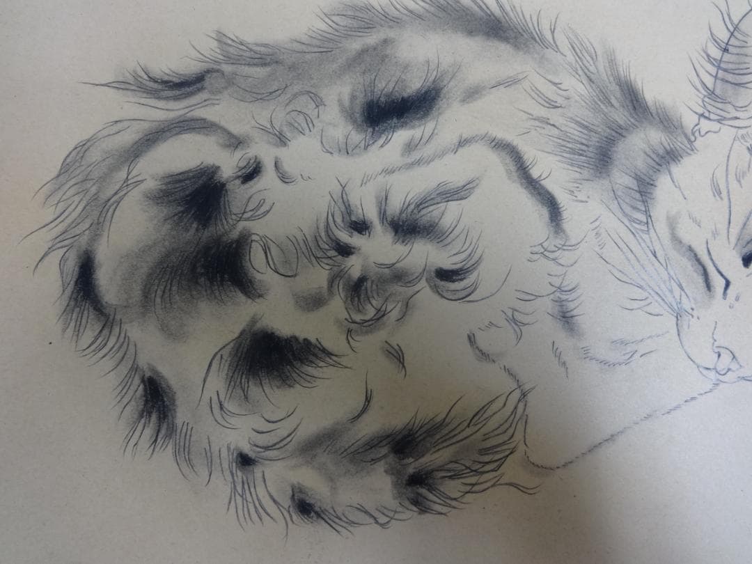 サ*バ様 藤田嗣治 子猫 1952年 肉筆鉛筆画 ・紙本著色・レオナールフジタ・