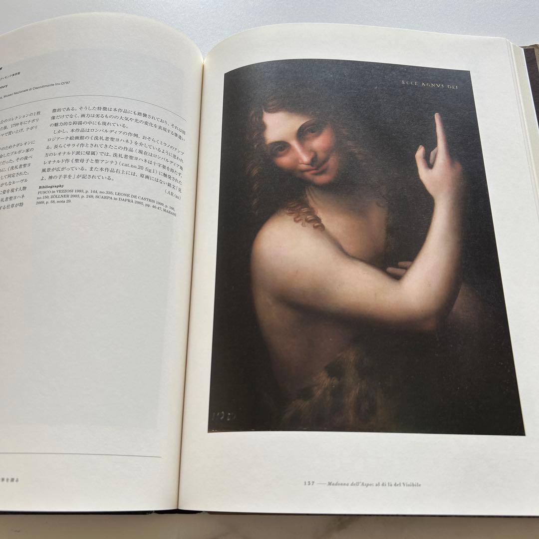 書 LEONARDO DA VINCI BEYOND THE VISIBLE