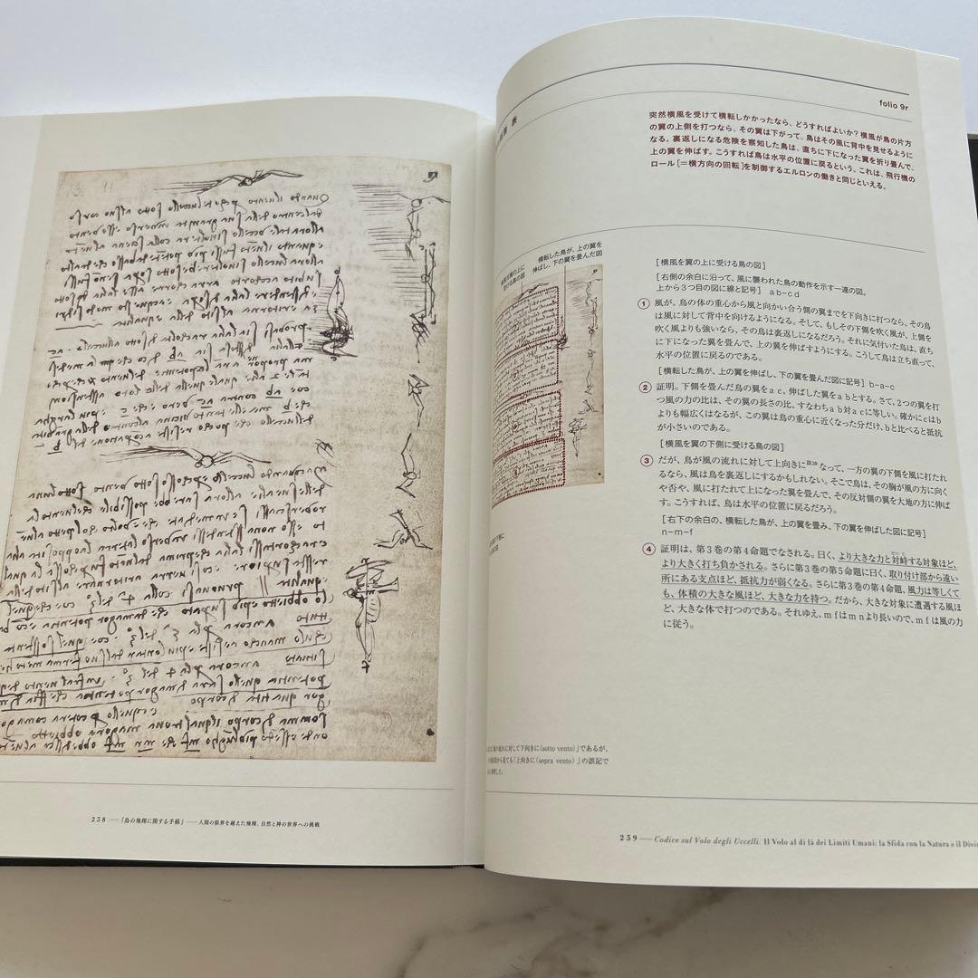 書 LEONARDO DA VINCI BEYOND THE VISIBLE
