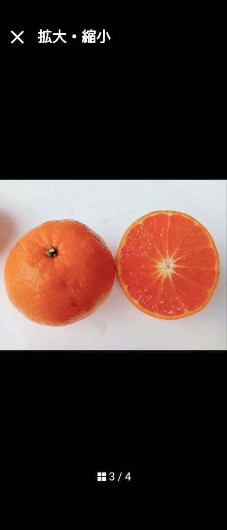 特撰果樹！天使の甘味！ブランド級ミカン「せとか４年生」
