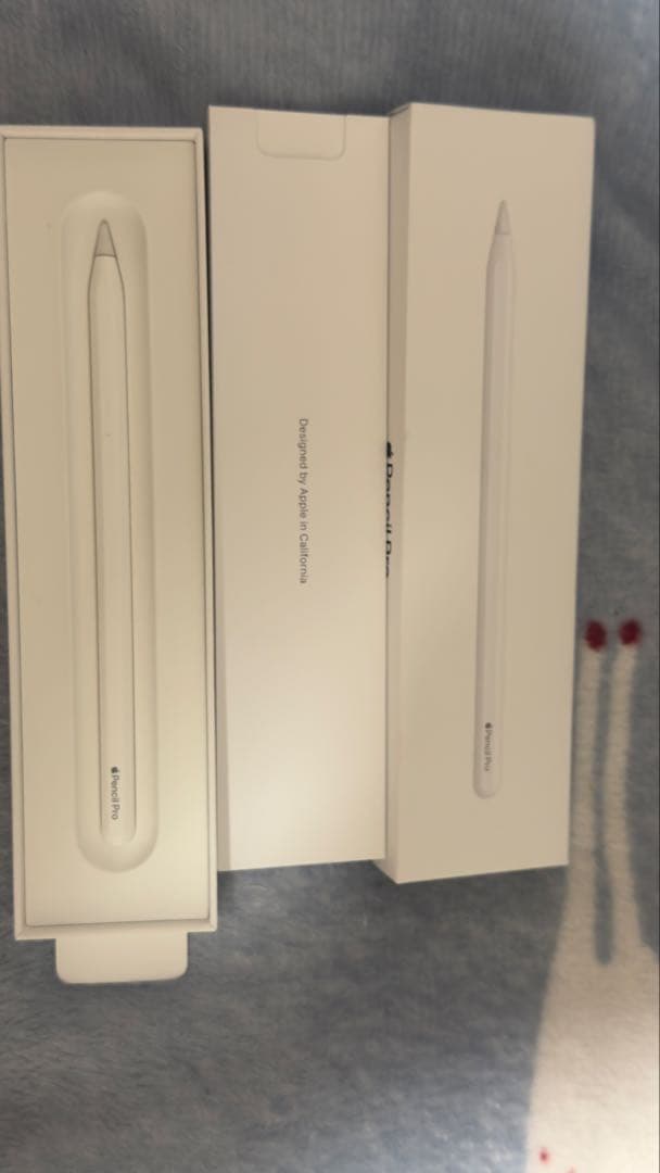 Apple Pencil (第2世代) 専用ケース付き