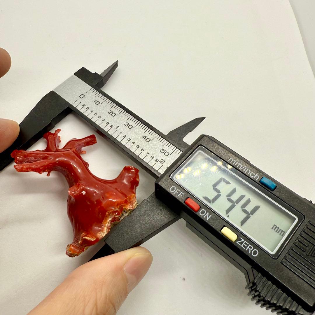 天然本珊瑚（血赤珊瑚） 原木置物 22.05g ケース付き 美品