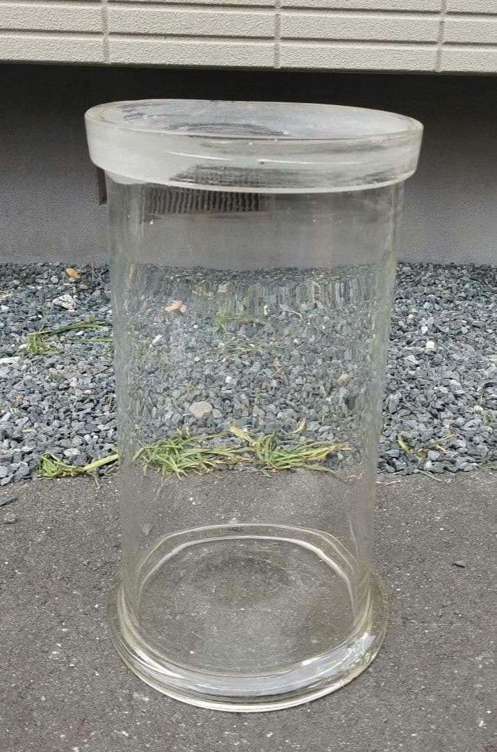 標本瓶 蓋付 ガラス瓶 約27×49H cm 保存瓶 昭和レトロ カフェ