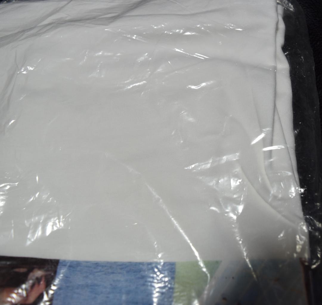 RADWIMPS 15th Anniversary 限定 ビッグTシャツ