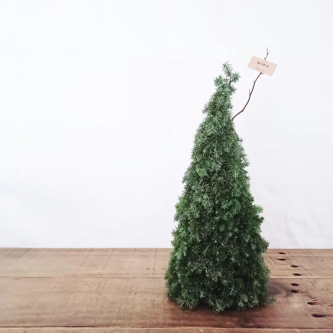 【受注生産】ドライフラワー クリスマスツリー 冬 クリスマス