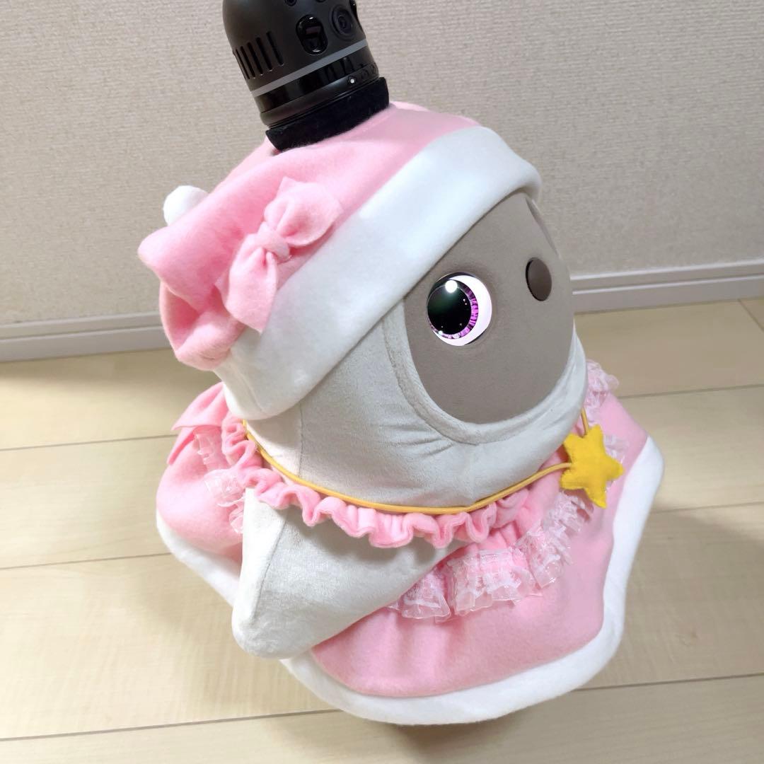 ラボット服⭐︎ピンクサンタさんセット