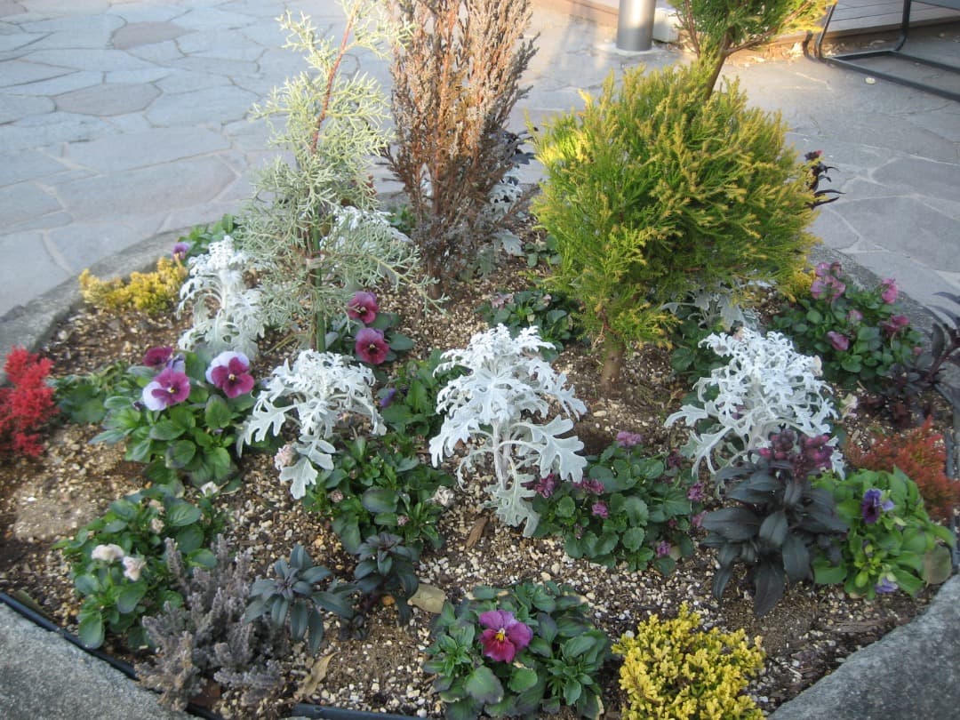 実写良⭕️【動作確認済】Canon　IXY　DIGITAL 70 PC1193