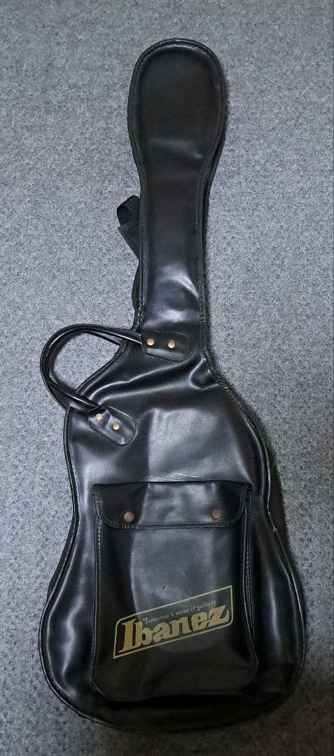 き*ん様 IBANEZ　540S CUSTOM