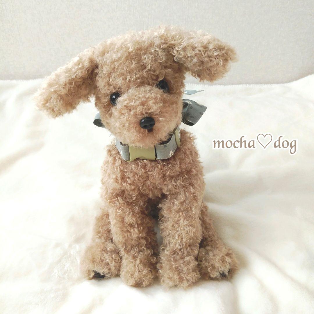 ＊mocha♡dog ＊ プードル(ラテS)☆ぬいぐるみわんこ teddy 犬