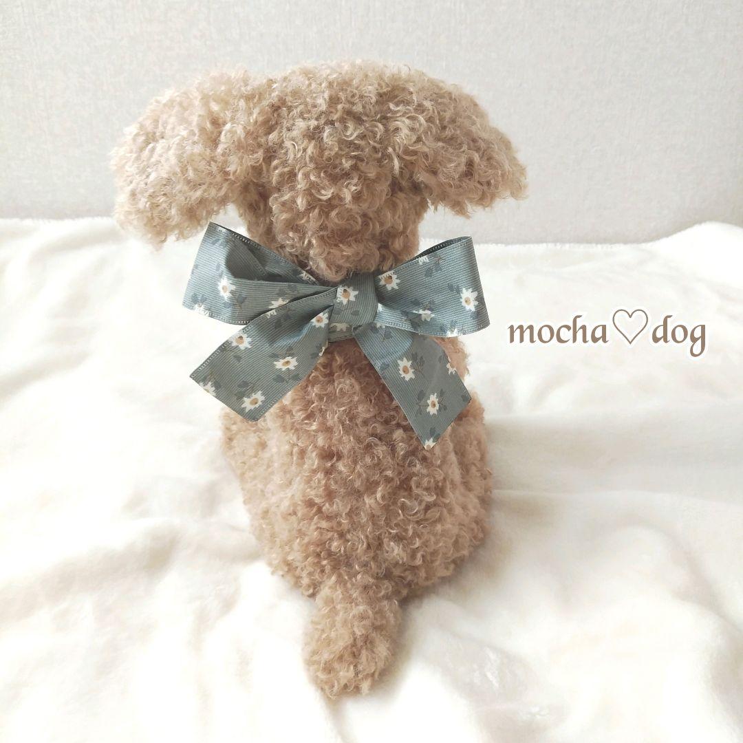 ＊mocha♡dog ＊ プードル(ラテS)☆ぬいぐるみわんこ teddy 犬