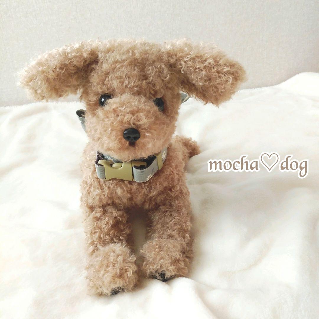 ＊mocha♡dog ＊ プードル(ラテS)☆ぬいぐるみわんこ teddy 犬