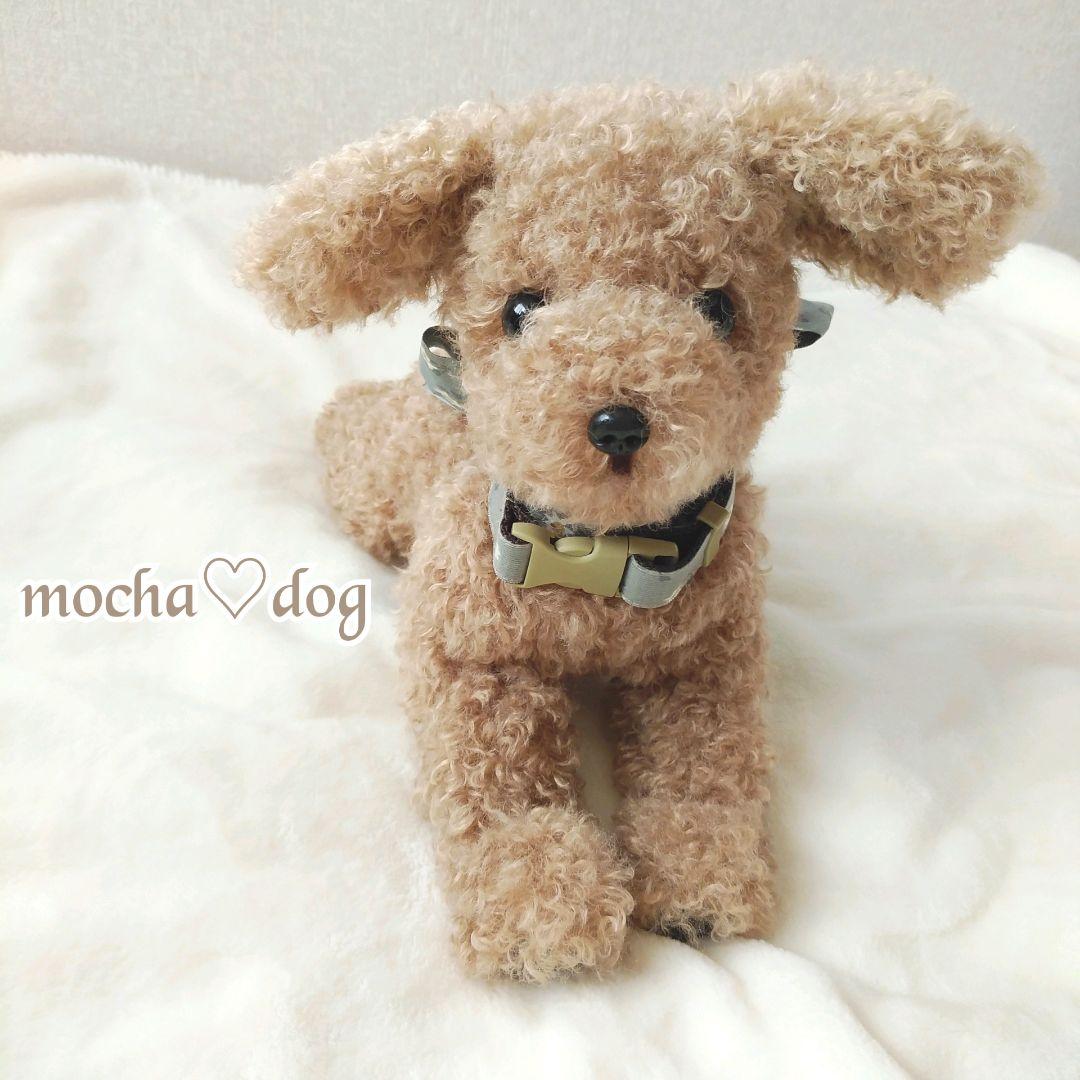 ＊mocha♡dog ＊ プードル(ラテS)☆ぬいぐるみわんこ teddy 犬