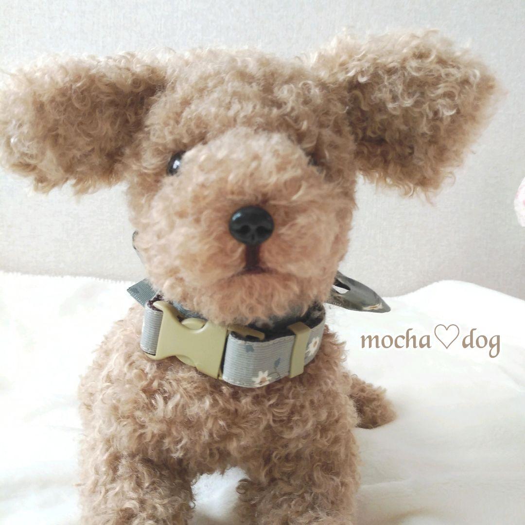 ＊mocha♡dog ＊ プードル(ラテS)☆ぬいぐるみわんこ teddy 犬