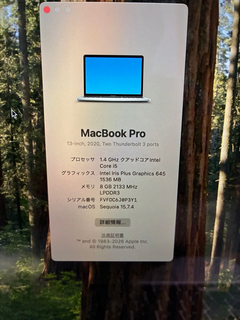 【箱・充電器付き】MacBook Pro (13インチ,2020,シルバー)中古